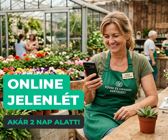 Online jelenlét – vállalkozói példa 5